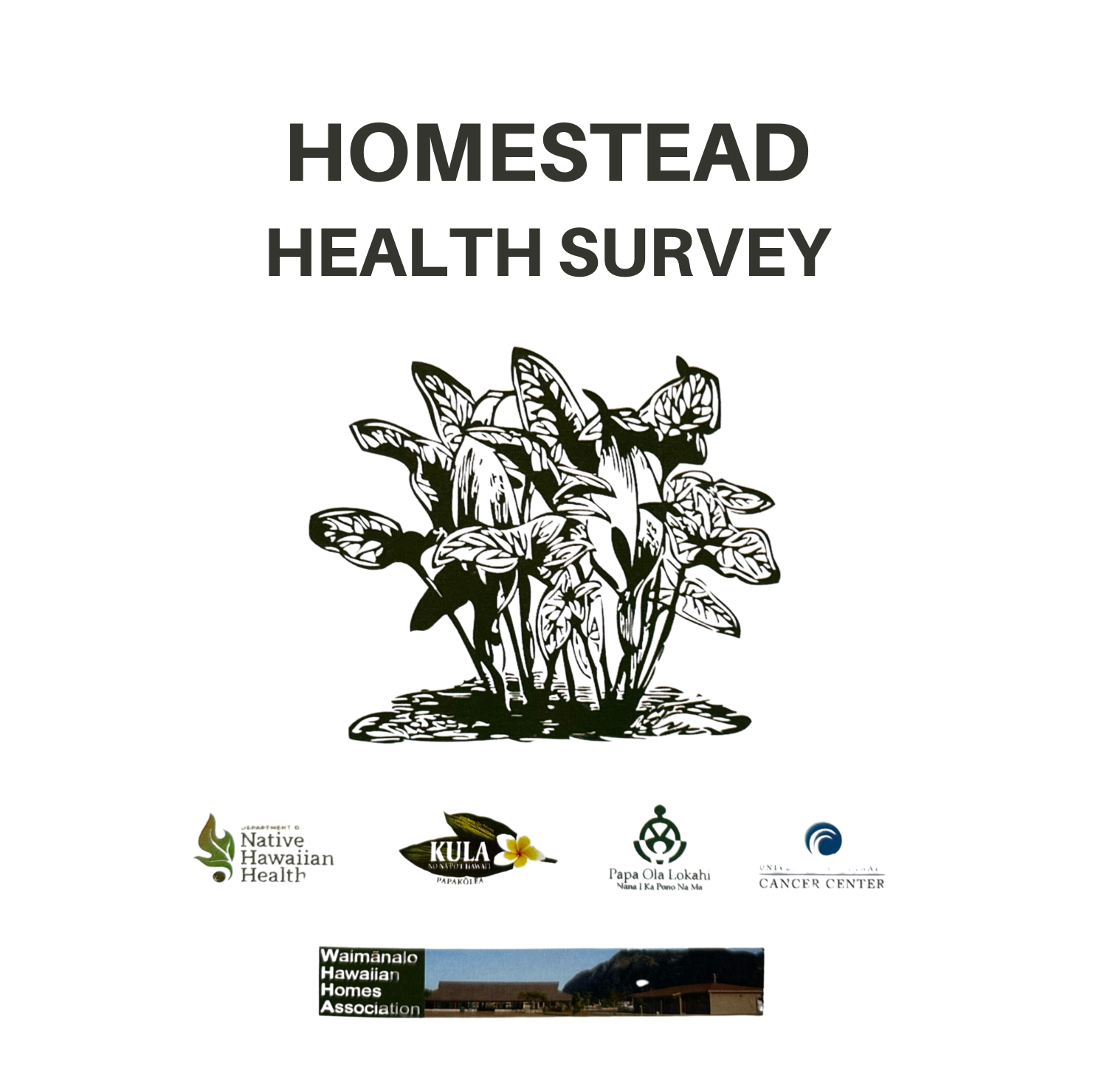 Homestead Health